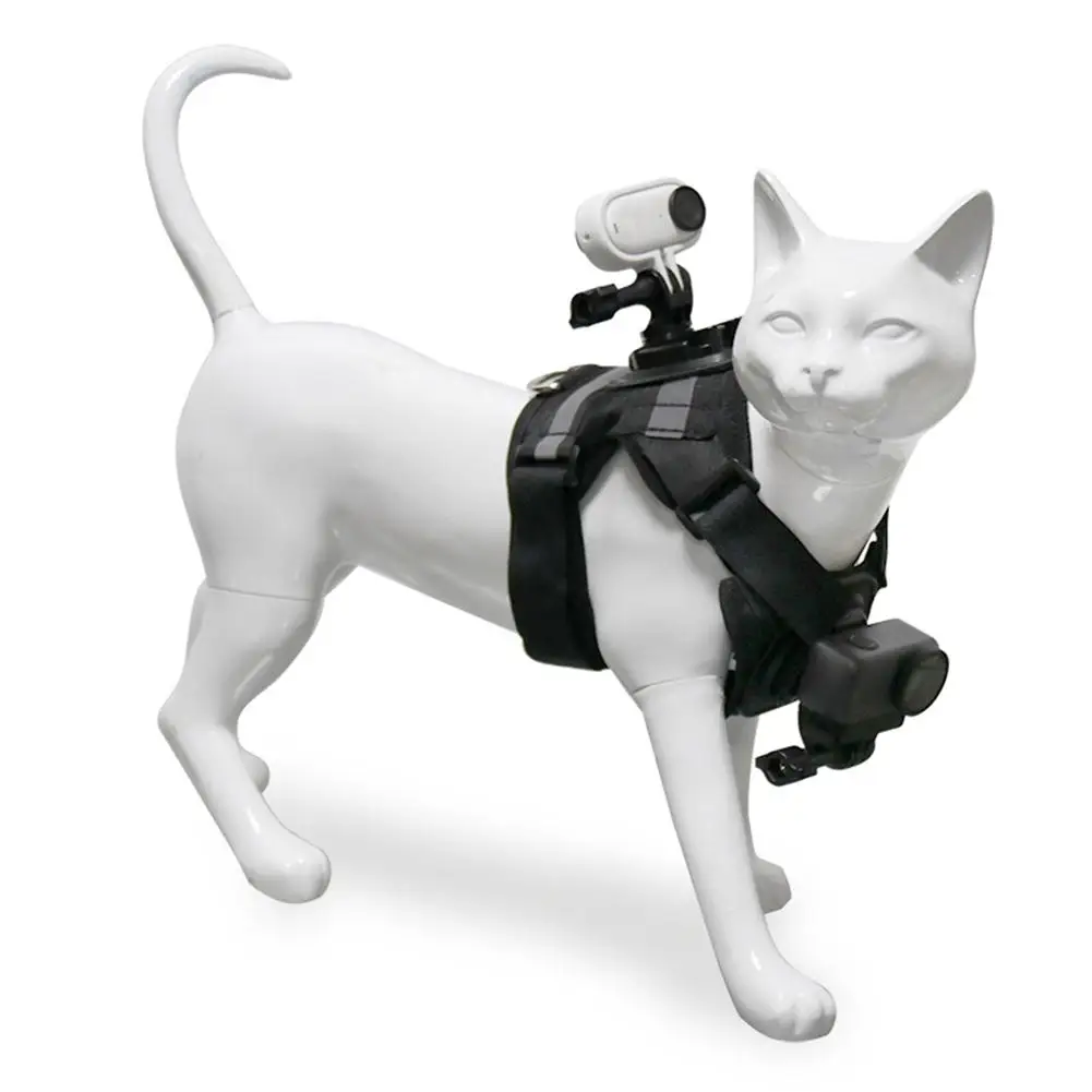 Photography Zone - Pet Cat Vest Photo Stand First-Person