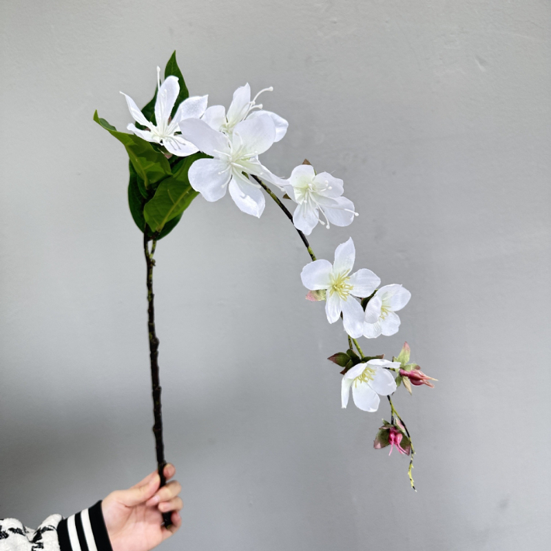 Artificial Hanging Jasmine Flo - đánh giá và giá Photography Graduation