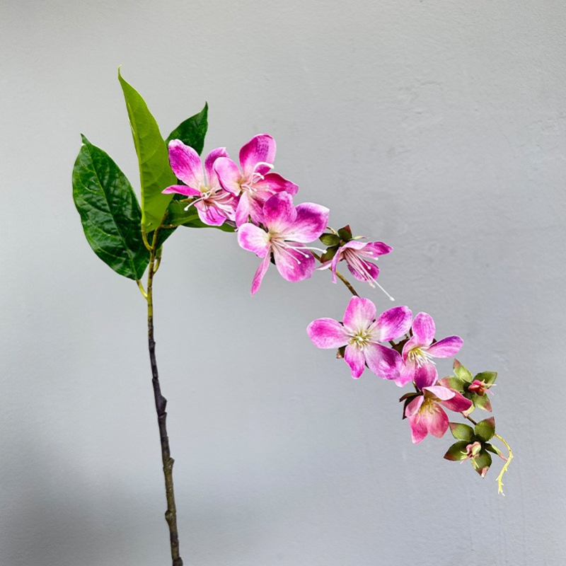 Artificial Hanging Jasmine Flo - đánh giá và giá Photography Graduation