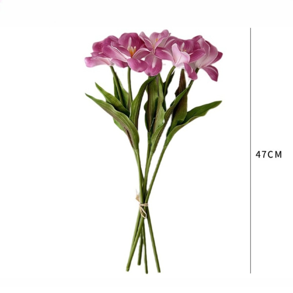 18.5 Inches Single Stem Open T - đánh giá và giá Photography Graduation