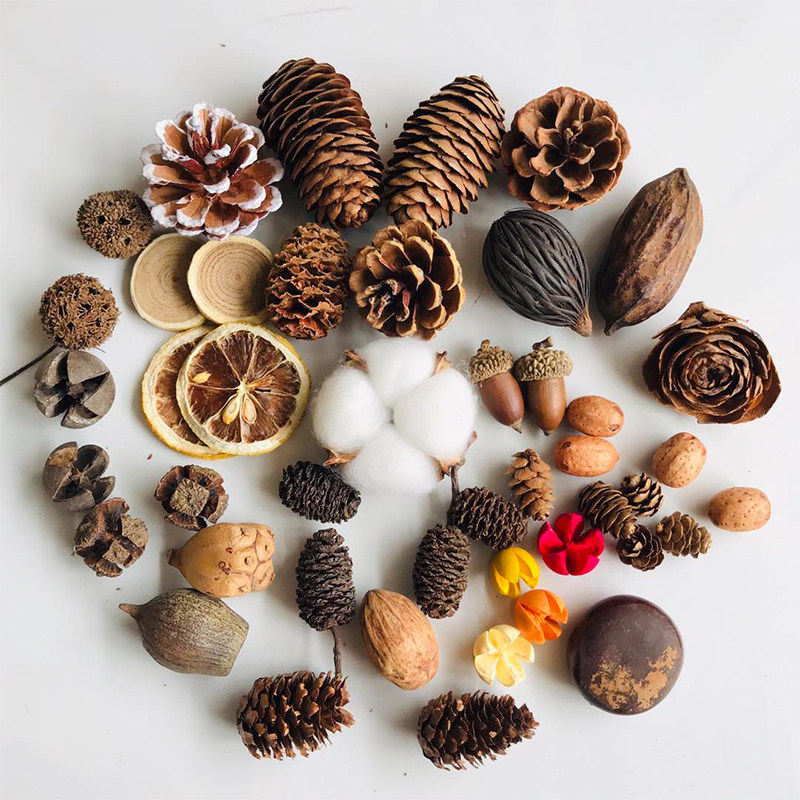 Natural Dried Pinecones Leaves - đánh giá và giá Photography Graduation