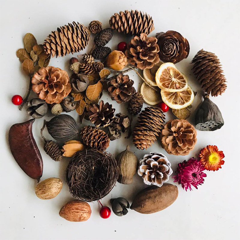 Natural Dried Pinecones Leaves - đánh giá và giá Photography Graduation