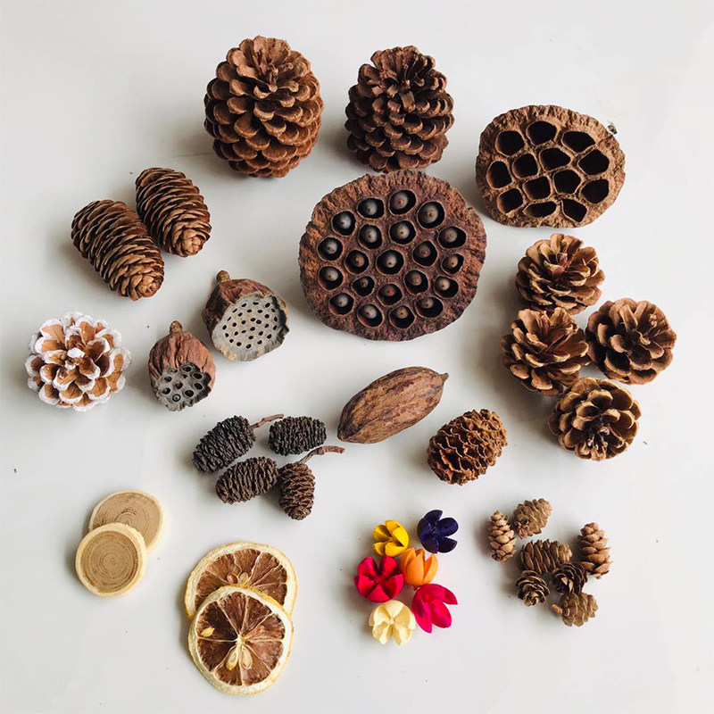 Natural Dried Pinecones Leaves - đánh giá và giá Photography Graduation